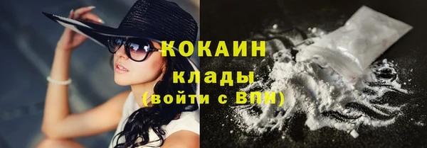 шишки Новозыбков