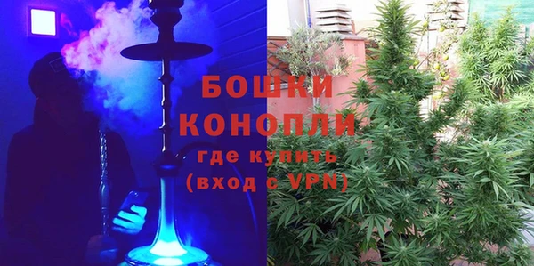 шишки Новозыбков