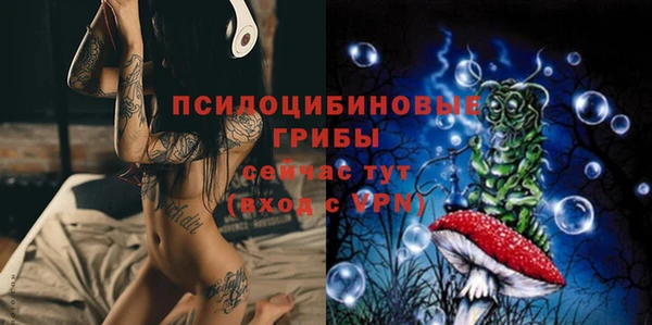 винт Новодвинск
