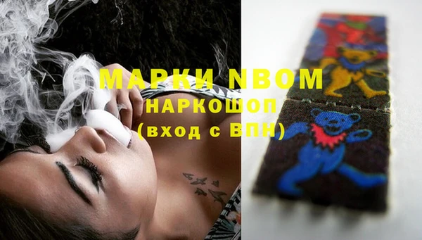 шишки Новозыбков