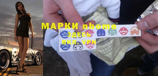 шишки Новозыбков
