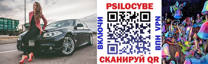 сколько стоит  Реутов  Псилоцибиновые грибы Magic Shrooms 