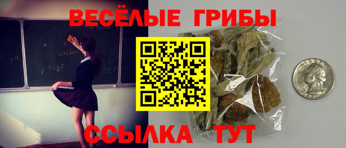 Реутов  Галлюциногенные грибы прущие грибы  Вход с VPN 