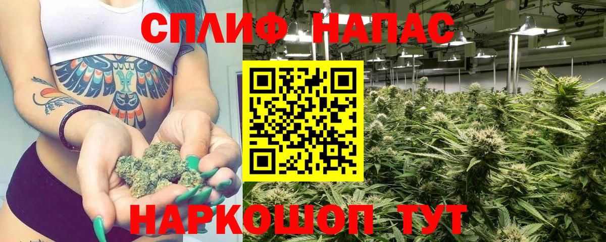 Шишки марихуана гибрид  МАРИХУАНА White Widow  Вход с VPN  Реутов 